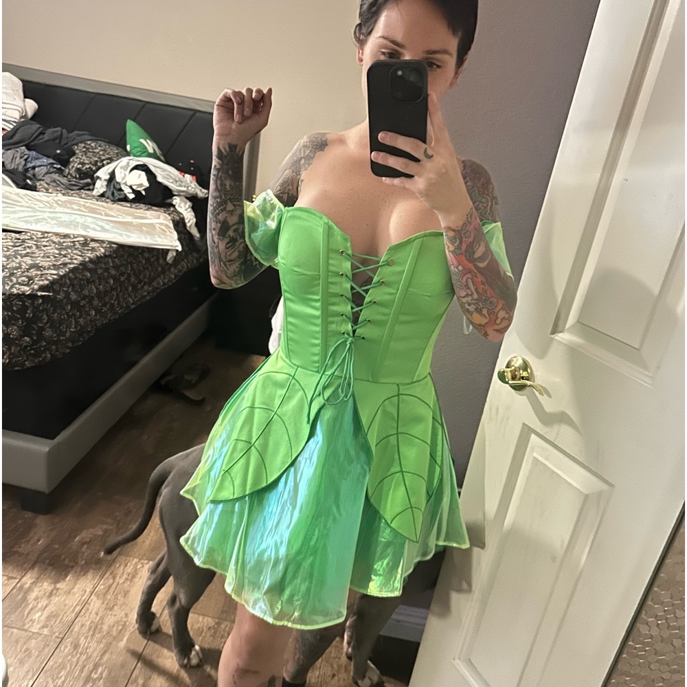 Fairy Costume